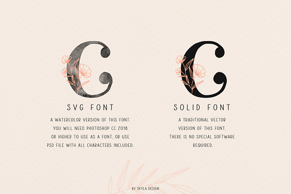 Ciera watercolor svg font & florals in Display Fonts - product preview 2