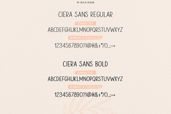 Ciera watercolor svg font & florals in Display Fonts - product preview 9