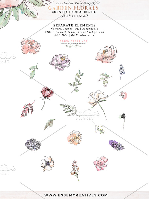 Garden Watercolor Flowers Clipart in Illustrations - product preview 6