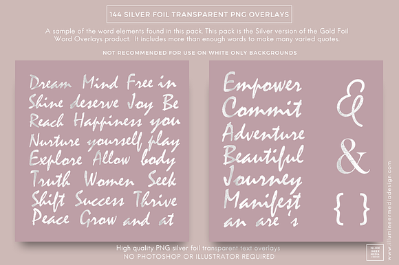 SILVER FOIL WORD OVERLAYS in Graphics - product preview 3
