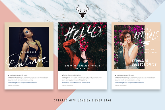 Rose Gold Hand-Drawn Instagram Posts in Instagram Templates - product preview 12