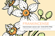 Frankincense hand-drawn vector set