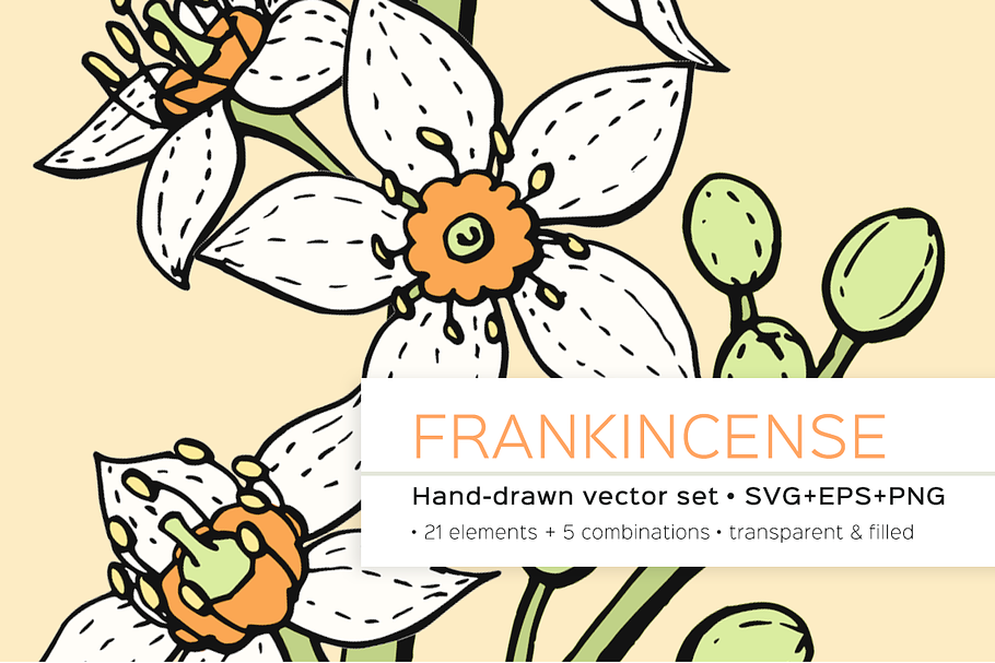 Frankincense hand-drawn vector set in Illustrations - product preview 8