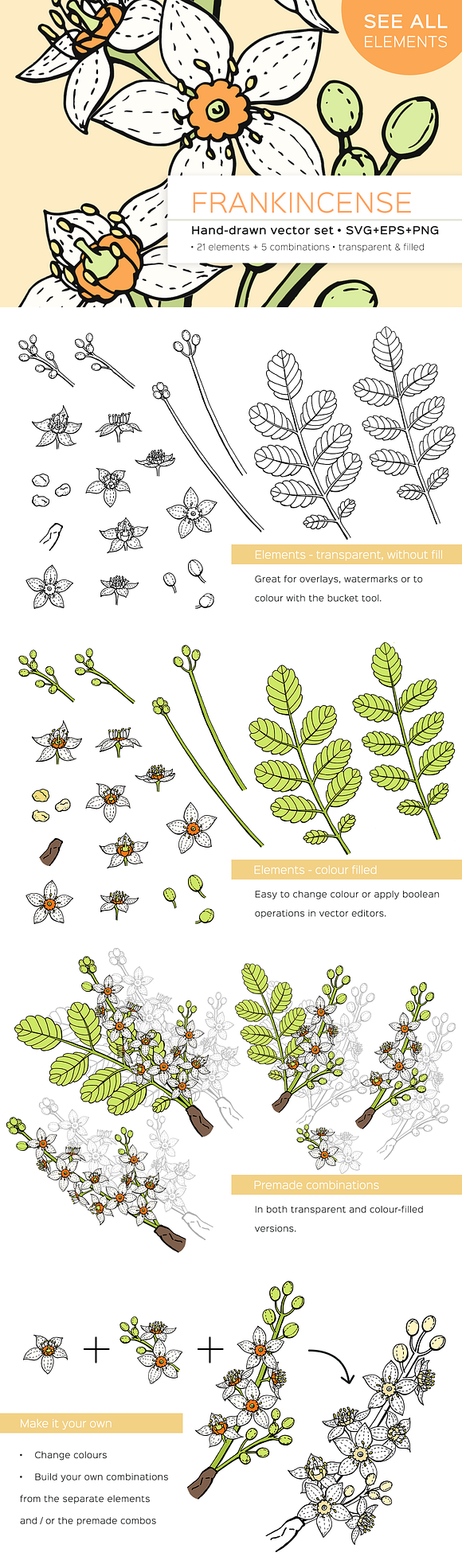 Frankincense hand-drawn vector set in Illustrations - product preview 8