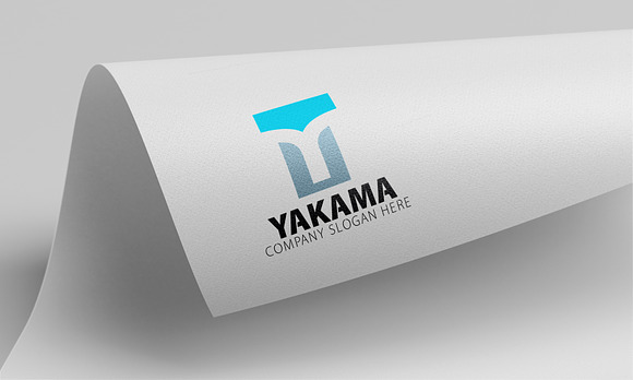 Y Letter Logo in Logo Templates - product preview 4