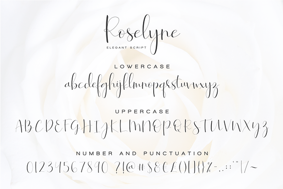 Roselyne - Caligraphy Script in Script Fonts - product preview 7