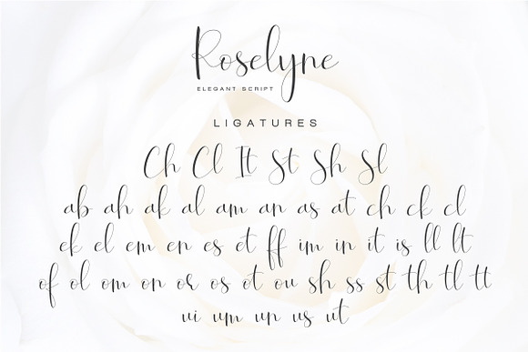 Roselyne - Caligraphy Script in Script Fonts - product preview 8