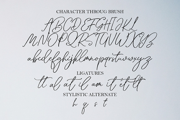 Throug Brush in Script Fonts - product preview 13
