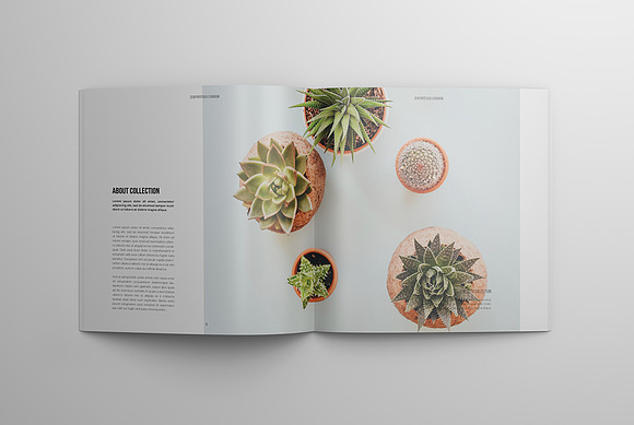 Floral Portfolio in Brochure Templates - product preview 4