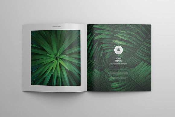 Floral Portfolio in Brochure Templates - product preview 5