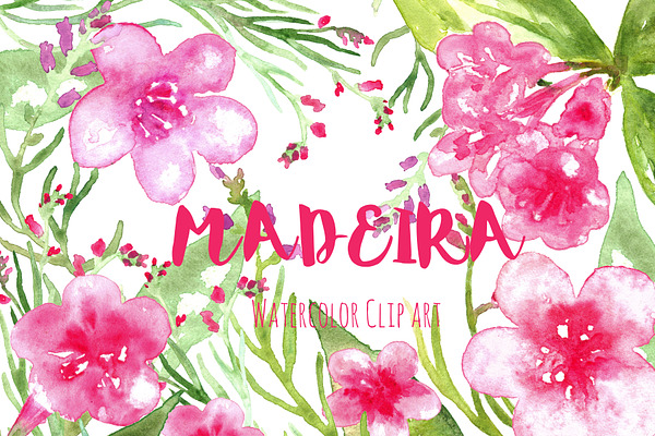 Madeira. Watercolor clip art.