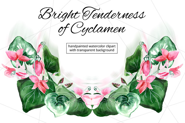 Watercolor flowers | Cyclamen 50%OFF