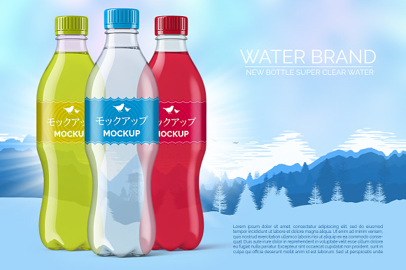 Plastic Water Bottle Mockup in Product Mockups - product preview 2