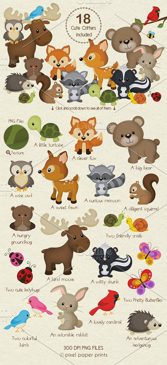 Woodland Animals Design Kit in Illustrations - product preview 1