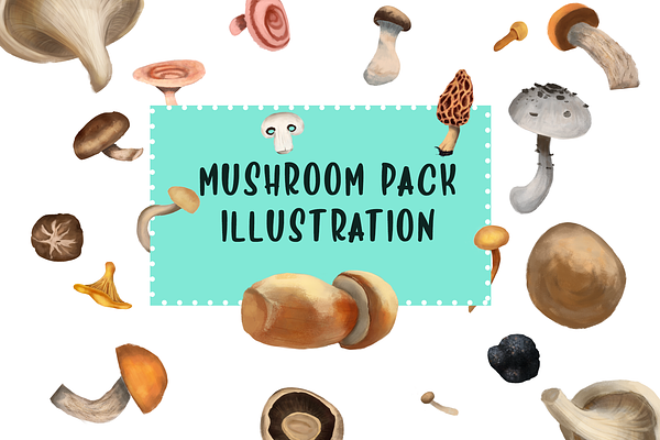 Mushroom Illustration Pack