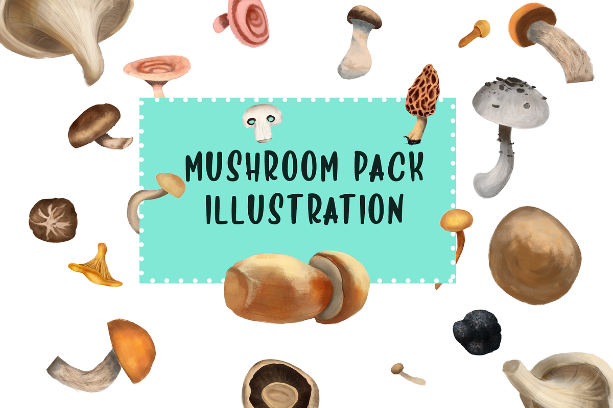 Mushroom Illustration Pack in Illustrations - product preview 8