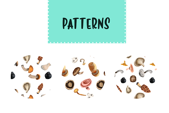 Mushroom Illustration Pack in Illustrations - product preview 1