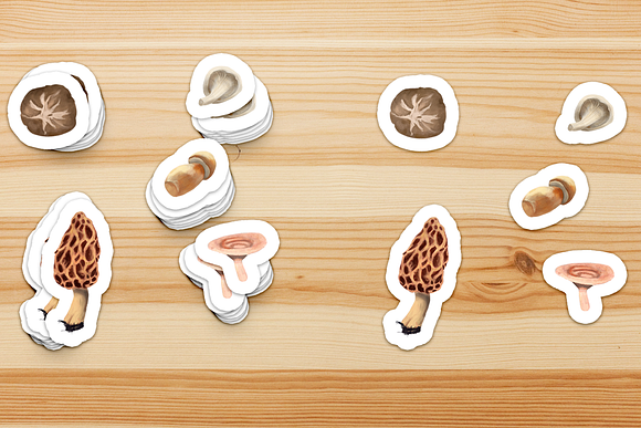 Mushroom Illustration Pack in Illustrations - product preview 4