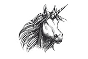 Unicorn horse vector sketch
