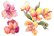 Alstroemeria pink flower PNG set