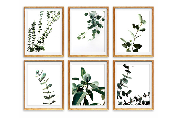 Botanical Wall Art, Eucalyptus Print