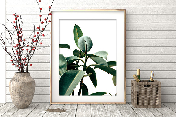 Botanical Wall Art, Eucalyptus Print in Illustrations - product preview 2