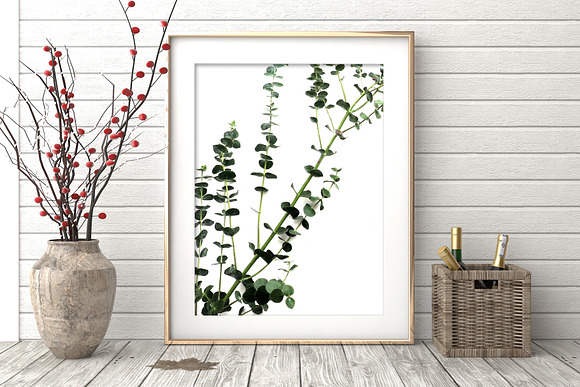 Botanical Wall Art, Eucalyptus Print in Illustrations - product preview 4