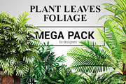 Plant Leaves Foliage Mega Pack