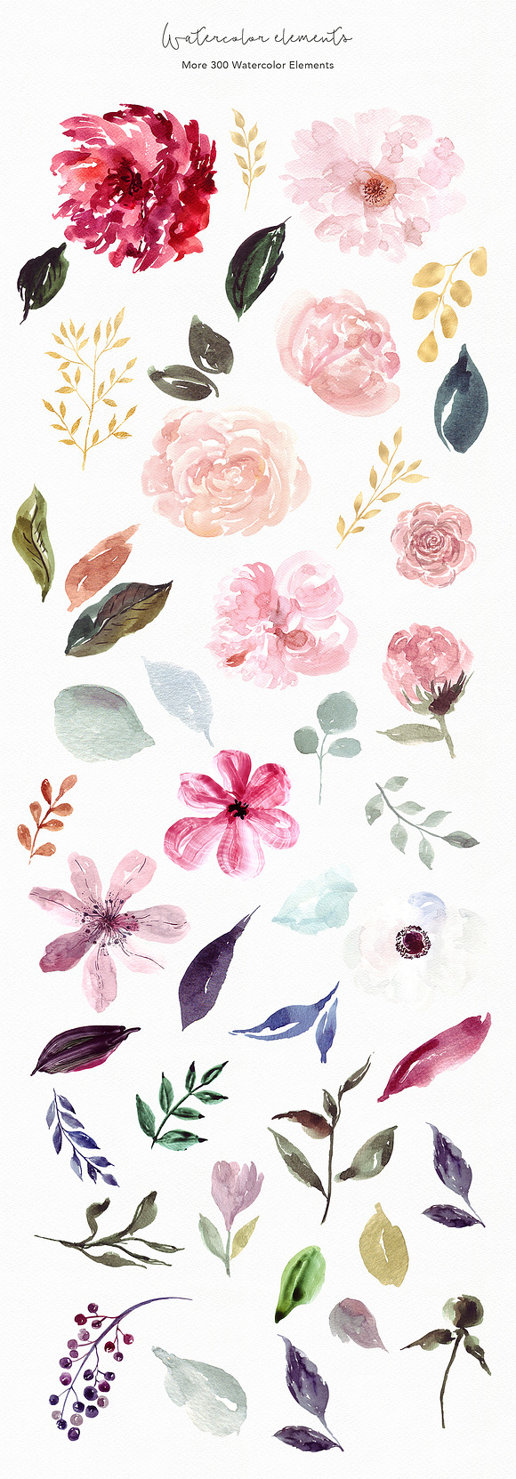 Giant Julia Watercolor Collection in Illustrations - product preview 7