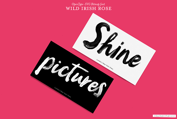 Wild Irish Rose brush script font in Colorful Fonts - product preview 4