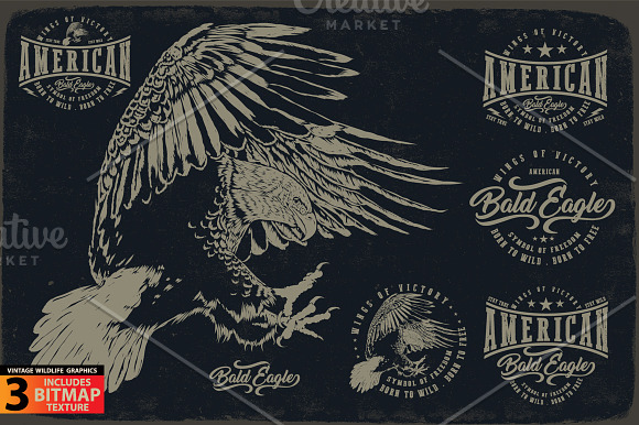 BALD EAGLE in Illustrations - product preview 1