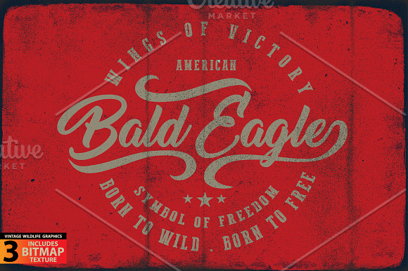 BALD EAGLE in Illustrations - product preview 5