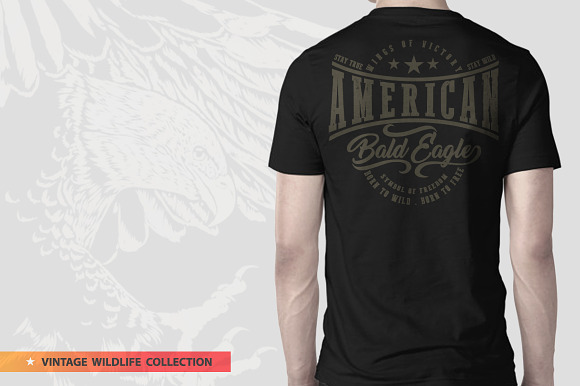 BALD EAGLE in Illustrations - product preview 9