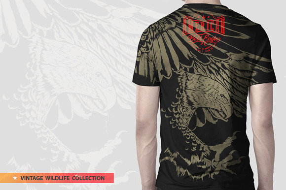 BALD EAGLE in Illustrations - product preview 10