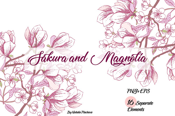 Sakura and Magnolia clip art