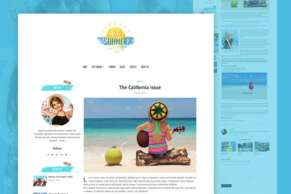 Summer Holiday - Travel Blog in WordPress Blog Themes - product preview 3