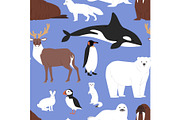 Arctic animals cartoon vector polar