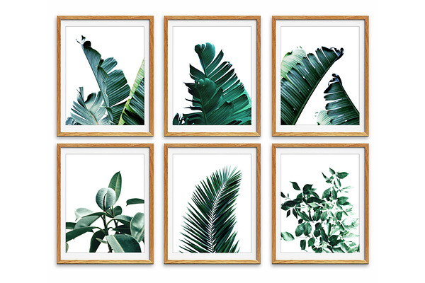 Set of 6 Wall Art, Leaf Prints