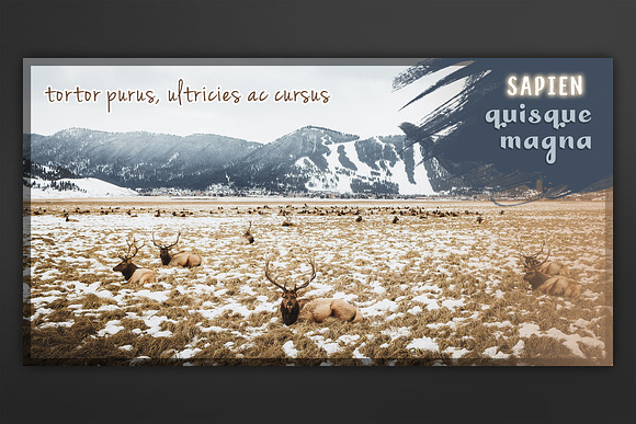 Facebook Cover Template in Facebook Templates - product preview 8