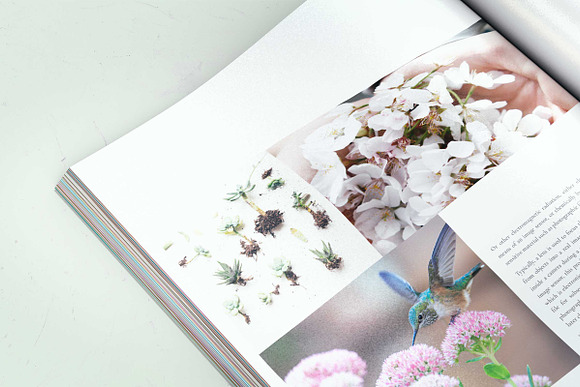 SEASON Photography Magazine Template in Magazine Templates - product preview 8