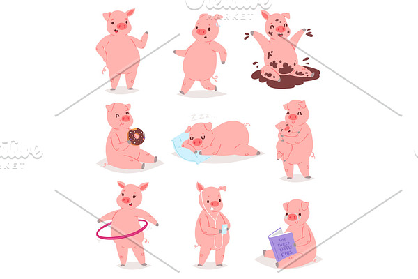 Cartoon pig vector piglet or piggy