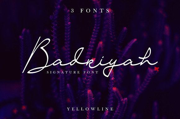 Badriyah in Script Fonts - product preview 7