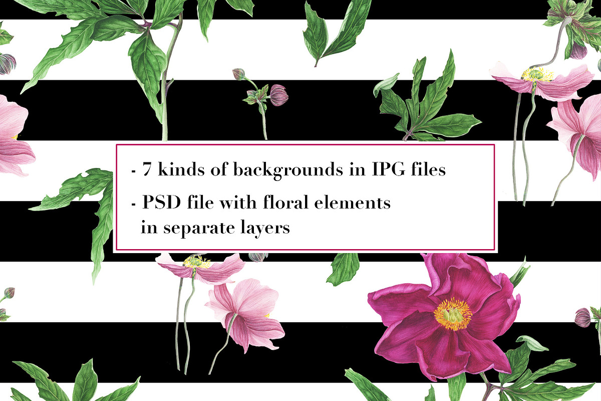 Peonies patterns in Patterns - product preview 8