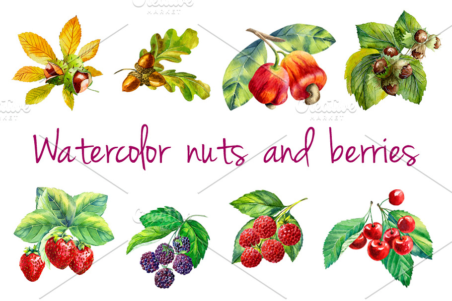 Watercolor nuts and berries