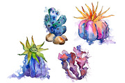 Purple coral PNG watercolor set