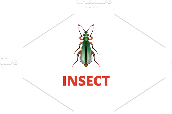 Insect Logo