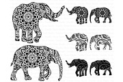 Elephant Mandala SVG, PNG, files.