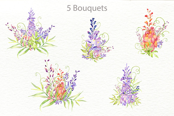 Wisteria lane in Illustrations - product preview 5