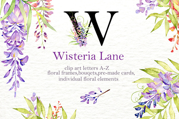 Wisteria lane in Illustrations - product preview 6