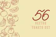 Tomatoes, vector